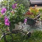 апарт готель,, червона рута,,