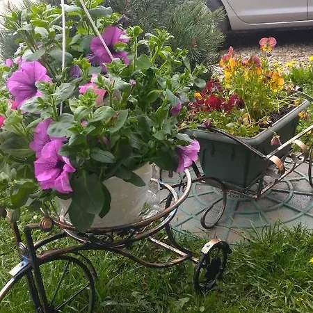 апарт готель,, червона рута,,