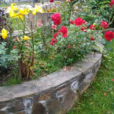 Lejlighedshotel апарт готель,, червона рута,, Skhidnytsia