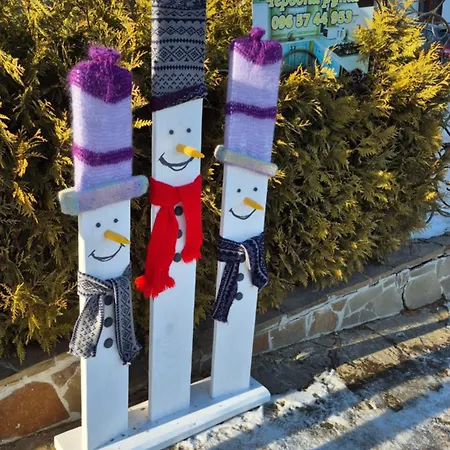 Lejlighedshotel апарт готель,, червона рута,,